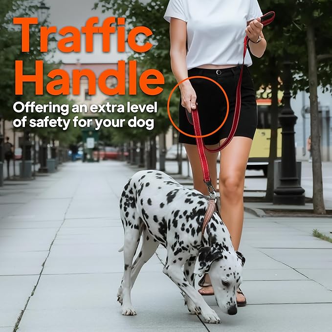 TwoEar 6FT 1IN Strong Blue Dog Leash with 2 Padded Handles, Traffic Handle Extra Control, Comfortable Soft Dual Handle, Auto Lock Hook, Reflective Walking Lead for Small Medium and Large Dogs