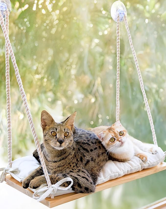 Cat Window Perch for Large Cats - Hammock Bed for Heavy Indoor Cats - Solid Wood Seat, 5 Strong Suction Cups, Soft Cushion - Rustic Shelf for Pets Inside