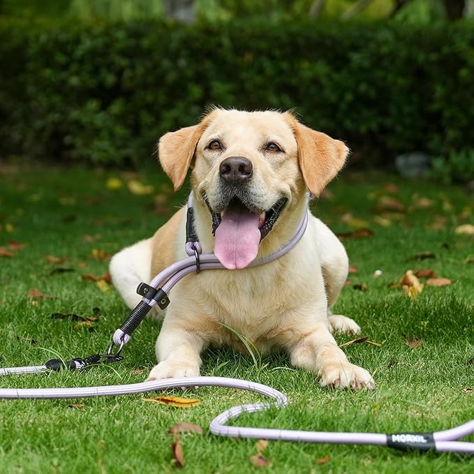 Rope Dog Leash with Two Handles, 6 Foot Heavy Duty Dog Leash with Aviation Aluminum Auto Locking Carabiner, Strong Nylon Pet Lead for Small, Medium, Large Dogs (Purple, 6FT-Two Handle)