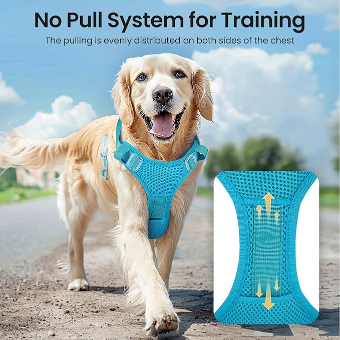 Light Up Dog Harness,Reflective Pet Harness Rechargeable,Led Dog Vest Harness for Night Walking,Adjustable Dog Safety Vest for Small Medium Large Dogs-No Pull,Blue,XL