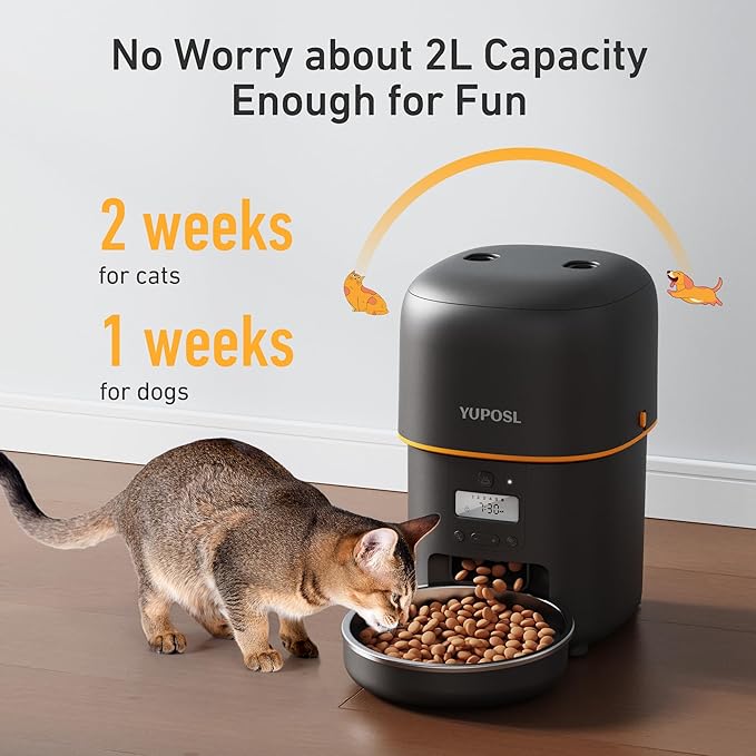 Automatic Cat Feeder - 2L Cat Food Dispenser, Timed Auto Pet Feeder with 180-day Battery Life, 1-6 Meals Per Day, 1-16 Portion, Desiccant Bag Keeps Dry Food Fresh, Also for Small Dogs