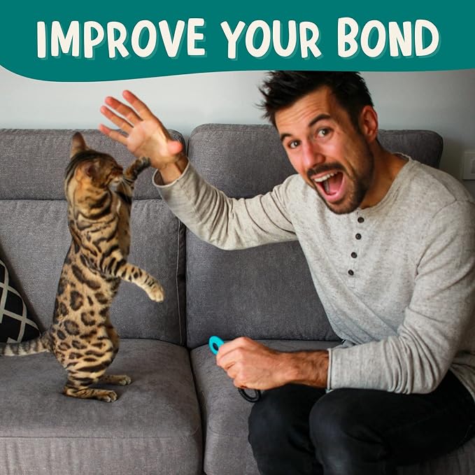 The Click Crusade (Cat Training Card Game Guide to Clicker Training for Cats for Teaching Tricks, Improving Communication and Bonding with Your Kitten (Clicker not Included)