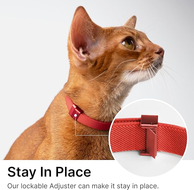 Safety Cat Collar Pro, Lightweight Elastic Release Non Breakaway Cat Collar Adjustable with Snap Fastener for Kitten All Small Large Cats, US IDA Gold Award (Olive, M 7.9-15.7")