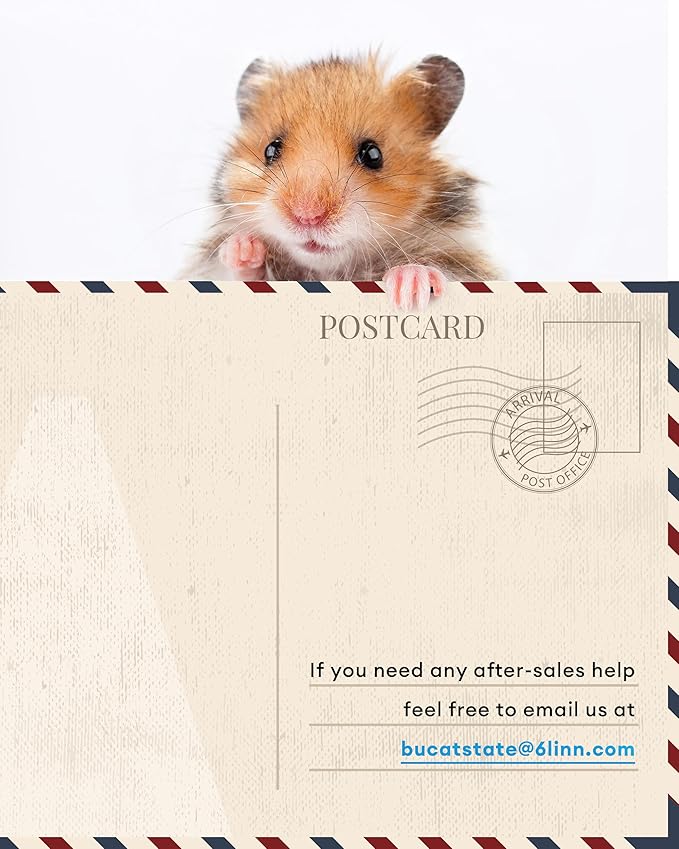 BUCATSTATE Hamster Cage 3.0: Metal Large Rat Cage Stackable with Top Access Easy Assemble 39.3L x 19.7W x 20.6H Inches Dwarf Syrian Hamster Tank for Gerbil Mouse (5.4 ft², White)