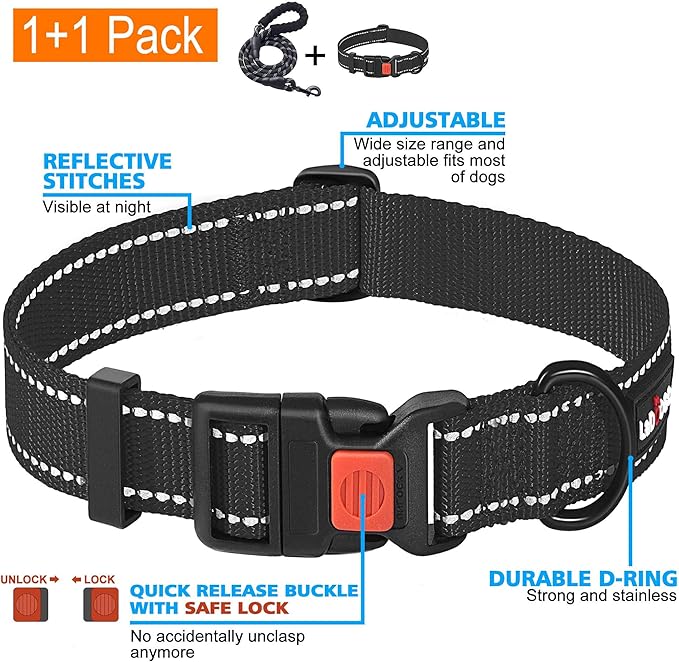 Heavy Duty Dog Leash - Comfortable Padded Handle, 5 ft Long - Dog Leashes for Small Medium Large Dogs (Leash+Collar L Neck 20"-25", Black)