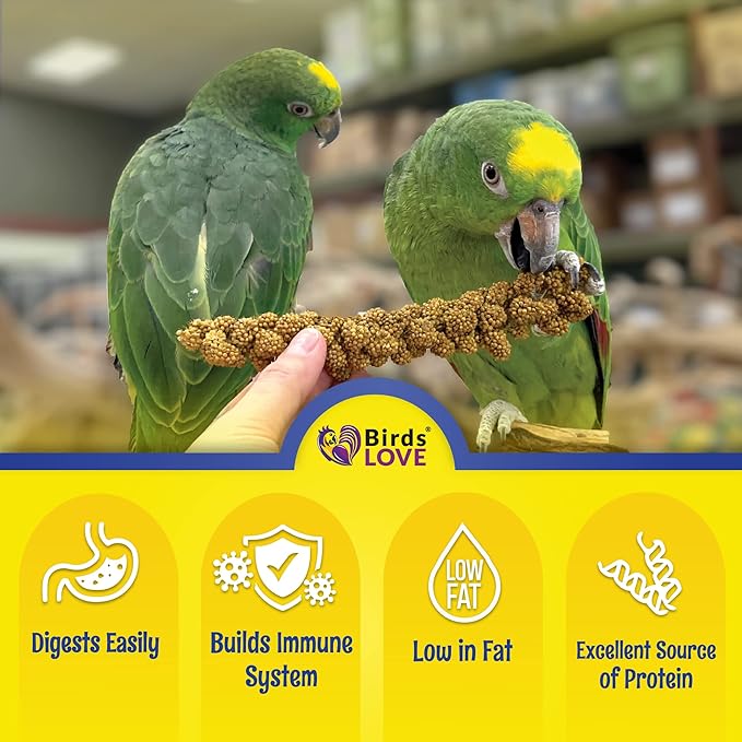 Birds LOVE Economy & Thin Special Spray Millet GMO-Free (No Stems Only Edible Tops) for Birds Cockatiel Lovebird Parakeet Finch Canary All Parrots Healthy Treat - 25lbs