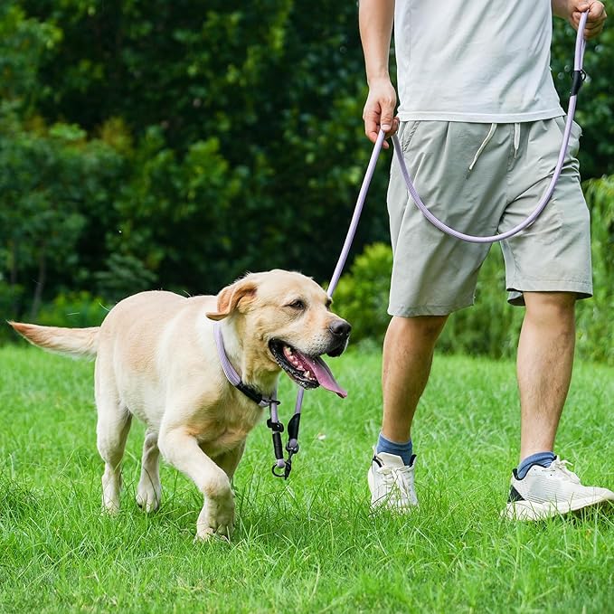 Rope Dog Leash, 6 Foot Heavy Duty Dog Leash with Aviation Aluminum Auto Locking Carabiner, Strong Nylon Pet Lead for Small, Medium, Large Dogs (Purple, 6FT)