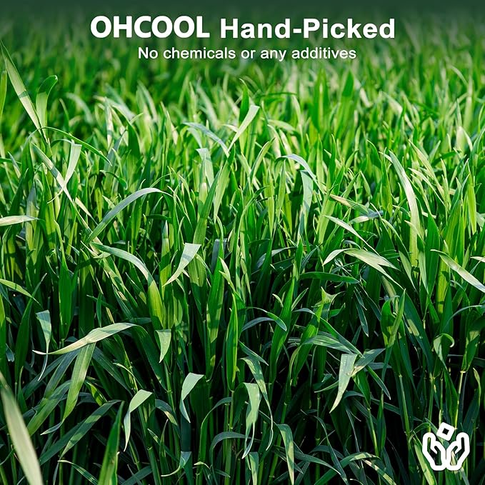 Premium Oat Hay for Pets - Dust Free Natural Green Fresh Pet Food Hay for Rabbits, Guinea Pigs, Chinchillas, Hamsters & Gerbils - 2.2lbs