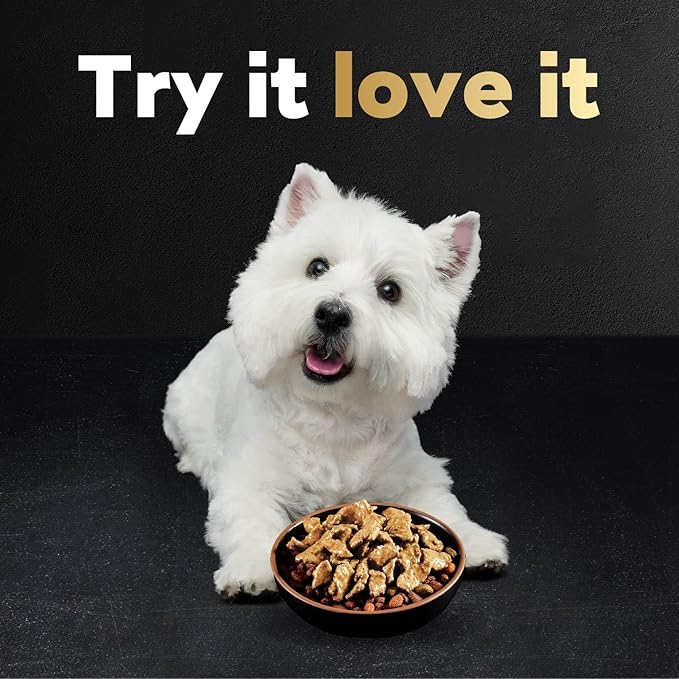 Cesar Filets in Gravy Wet Dog Food Rotisserie Chicken Flavor, 1.76 oz. Mini-Pouch (20 Count, Pack of 1)