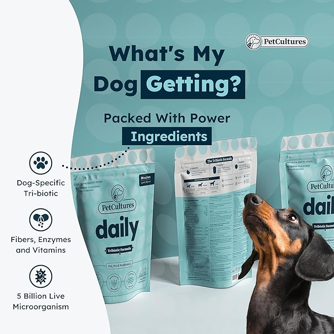 Daily Synbiotic Formula - A TriBiotic Blend with 6 Strains, B-Vitamins, and Digestive Enzymes in 30 Packs