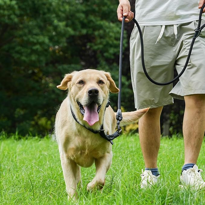 Rope Dog Leash, 6 Foot Heavy Duty Dog Leash with Aviation Aluminum Auto Locking Carabiner, Strong Nylon Pet Lead for Small, Medium, Large Dogs (Brown, 6FT)