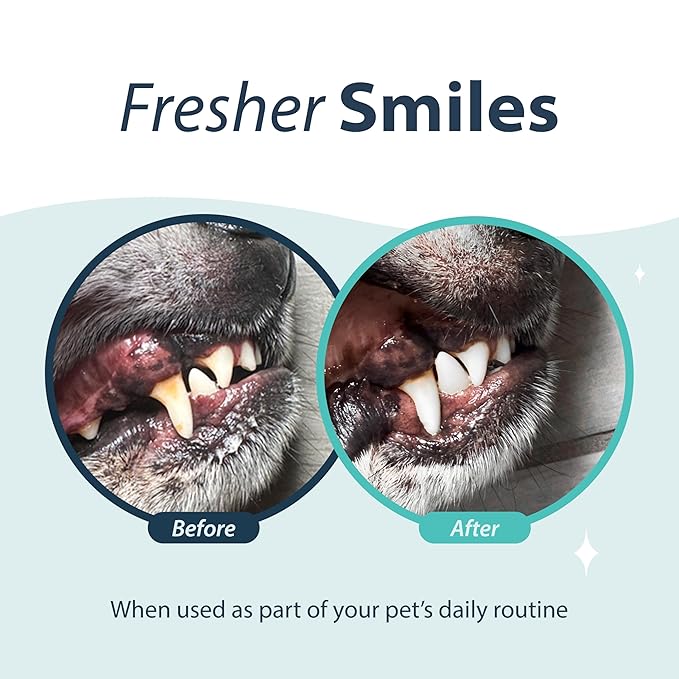 Dental Fresh Water Additive for Dogs, Original Formula, 64oz – Dog Breath Freshener and Dog Teeth Cleaning for Dog Dental Care– Add to Water