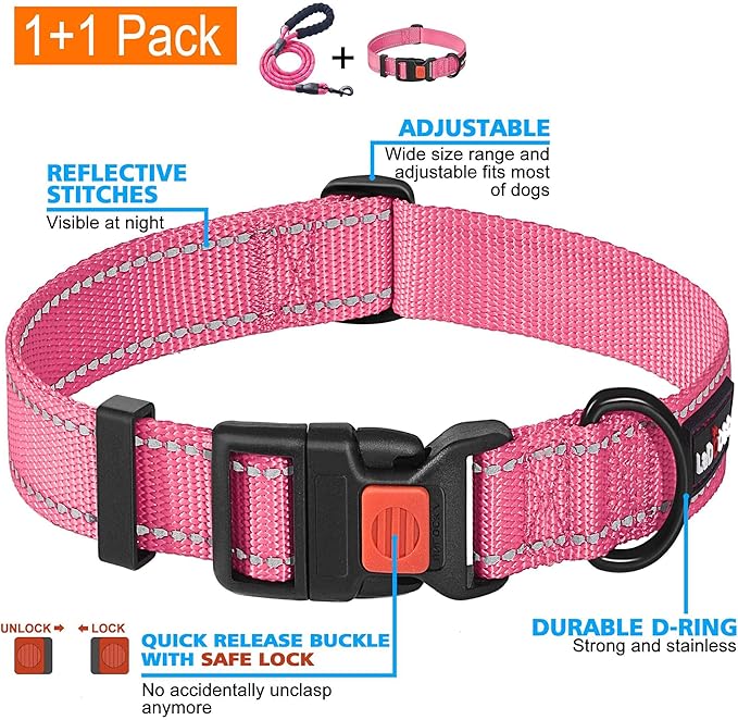Heavy Duty Dog Leash - Comfortable Padded Handle, 5 ft Long - Dog Leashes for Small Medium Large Dogs (Leash+Collar S Neck 13.5"-16", Pink)