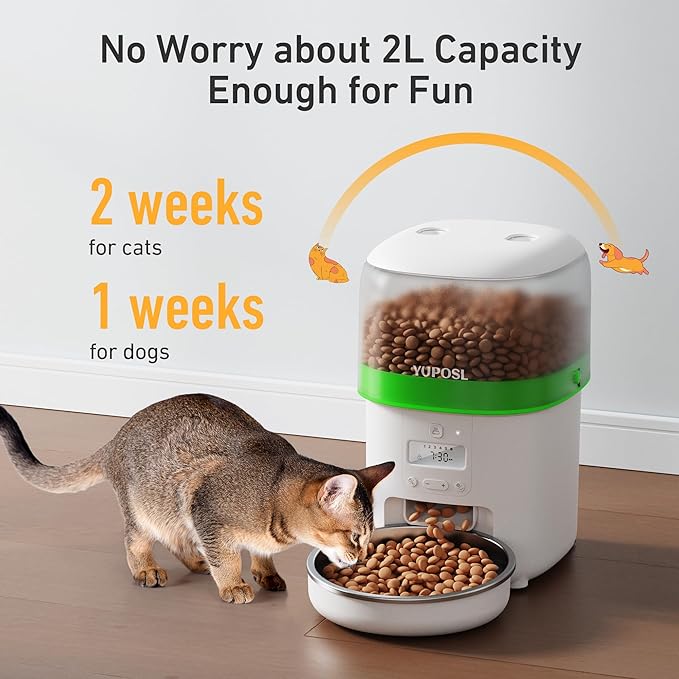 Automatic Cat Feeder - 2L Cat Food Dispenser, Timed Auto Pet Feeder with 180-day Battery Life, 1-6 Meals Per Day, 1-16 Portion, Desiccant Bag Keeps Dry Food Fresh, Also for Small Dogs