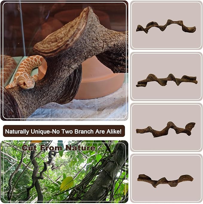 BNOSDM 3Pcs Reptile Climbing Branches Decor,Snake Climbing Branch,Gecko Climb Wood,Lizard Forest Branch,Tank Habitat Tree Trunk Decorations for Bearded Dragons,Chameleons,Spider,Frogs (M)
