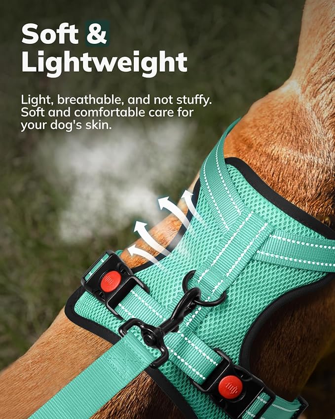 MIDOG No-Pull Dog Harness | Adjustable & Reflective Pet Harness Leash Set for Small Medium Large Dogs Walking, Training| No Choke, Front Clip, Soft Padded Vest with Easy Control Handle - Green, S