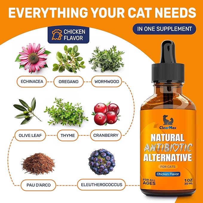 Cat Antibiotic to Help with Cough & Allergies – Antibiotics for Cats to Aid with UTIs and Digestive Moments – HIPS & Joints Support – Attractive Chicken Taste – 1 Oz Bottle