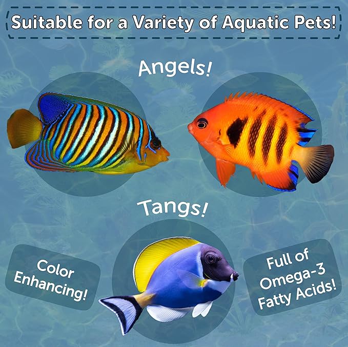 Aquatic Foods Inc. Marine Fish Flakes of Red & Green Algae, Seaweed for Tangs, Butterflies, Angelfish, Anthias, Clown Fish, Damsels Also Pellet Mix, Wafer Mix Included… AFI 1-lb 2oz