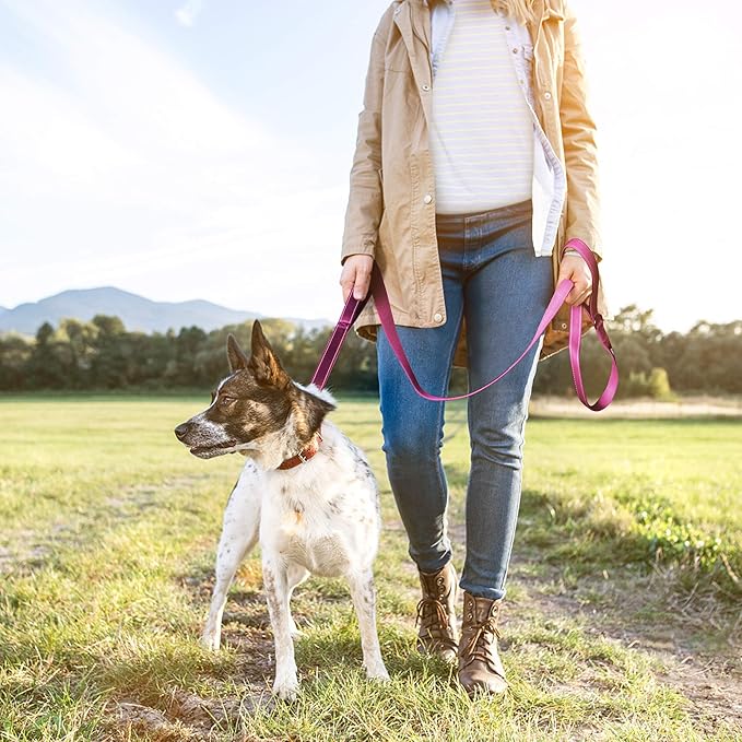 TwoEar 6FT 1IN Strong Rose Dog Leash with 2 Padded Handles, Traffic Handle Extra Control, Comfortable Soft Dual Handle, Auto Lock Hook, Reflective Walking Lead for Small Medium and Large Dogs