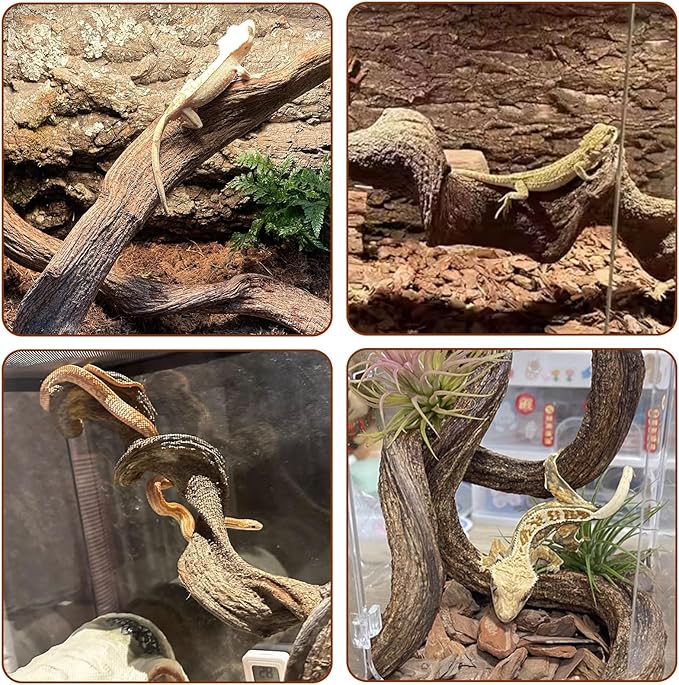 BNOSDM 3Pcs Reptile Climbing Branches Decor,Snake Climbing Branch,Gecko Climb Wood,Lizard Forest Branch,Tank Habitat Tree Trunk Decorations for Bearded Dragons,Chameleons,Spider,Frogs (M)