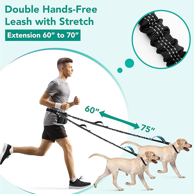 PetAmi Premium Hands Free Dog Leash for 2 Dogs, Adjustable Waist Belt Leash for Dog Walking, Fanny Pack Accessories Bag Dual Bungee Leash for Running, Hiking, Jogging, Biking, Black
