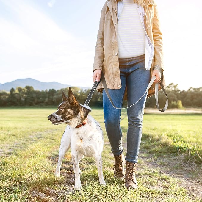 TwoEar 4FT 1IN Strong Gray Dog Leash with 2 Padded Handles, Traffic Handle Extra Control, Comfortable Soft Dual Handle, Auto Lock Hook, Reflective Walking Lead for Small Medium and Large Dogs
