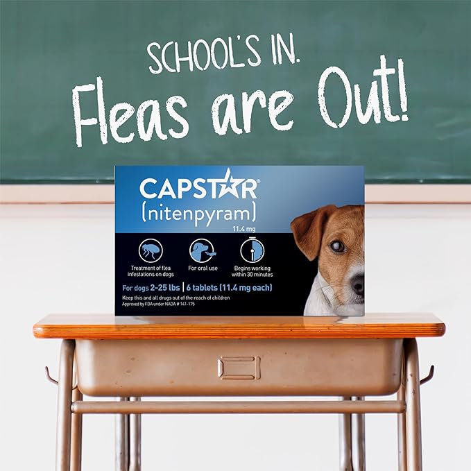 Capstar(nitenpyram) for Dogs Fast-Acting Oral Flea Treatment for Dogs 2-25 lbs, Vet-Recommended Medication Tablets Start Killing in 30 Minutes, 6 Doses