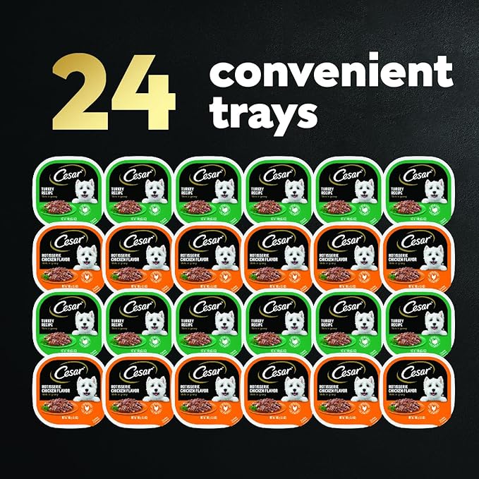 Cesar Filets in Gravy Adult Wet Dog Food, Poultry Lovers Multipack, 3.5 oz. (12 Count, Pack of 2)