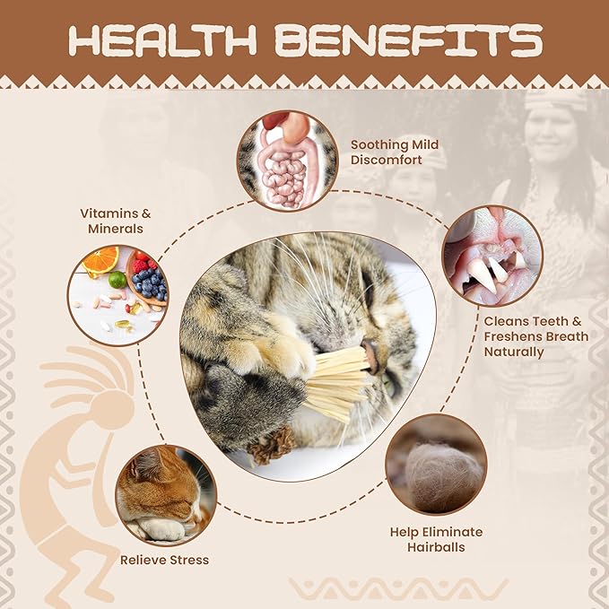 Catnip Silvervine Sticks for Cats | Silver Vine Chew Toy or Cat Chew Stick | Kitten Teething Toys | Cat Dental Chew with Cat Raffia Grass for Healthy Teeth & Digestion | Silvervine Cat Toy | 2 Sticks