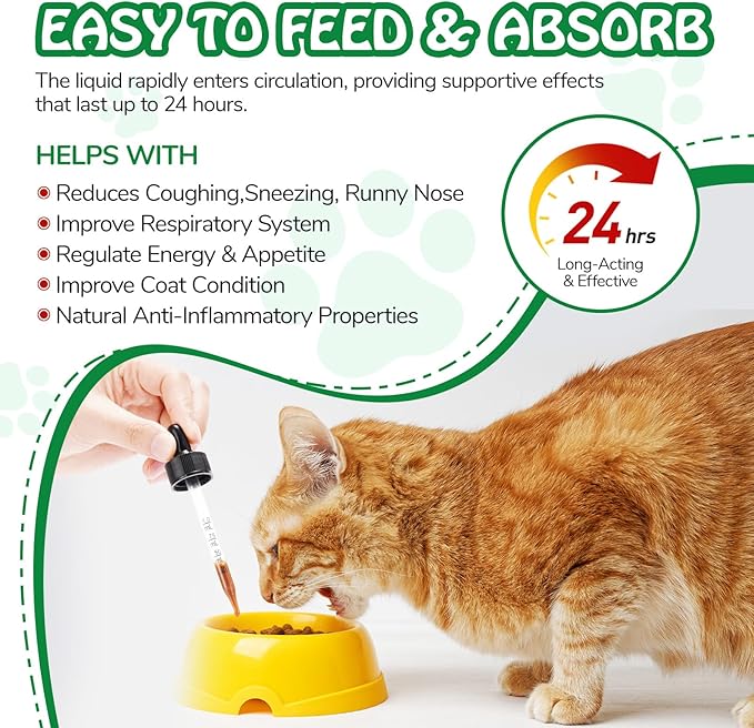Antibiotics for Cats | Cat Antibiotics | Natural Antibiotics for Cats | Pet Antibiotics | Cat Itchy Skin Relief | Cat Allergy Relief | Cat Antibiotics for Skin Infection | 2 Fl Oz-Chicken Flavour