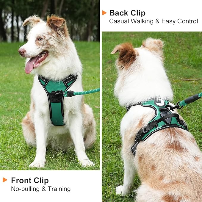 Taglory Light Up Dog Harness, Rechargeable No Pull Dog Vest with 3 Lightning Modes, Reflective Dog Harness with 2 Leash Clips & 4 Adjustable Slide Strips for Large Dogs, Turquoise-Green, L