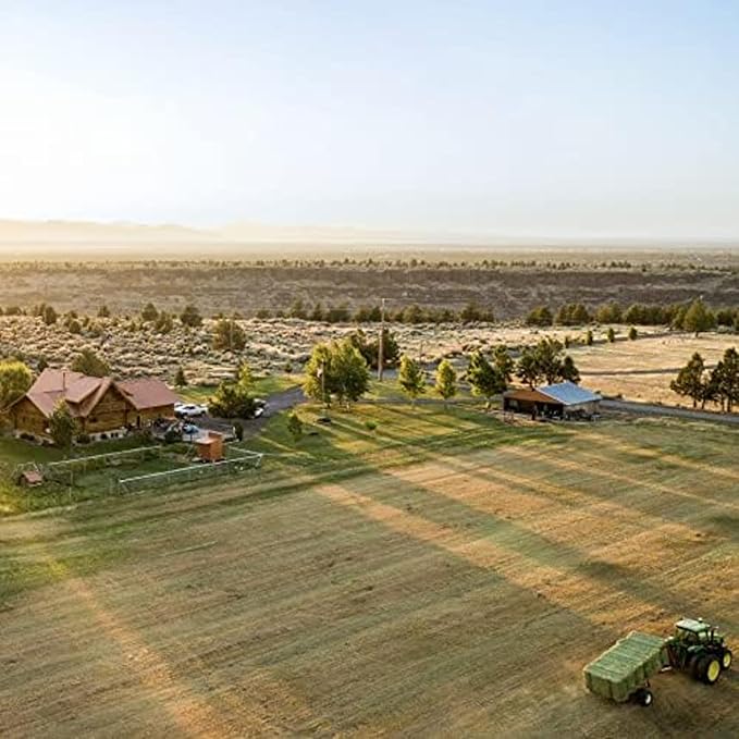 Blue Mountain Hay | Fresh 2nd Cutting Timothy Grass Hay (5 Pounds) | Soft & Leafy, Balanced Nutrition | High-Altitude Hay Pet Food for Adult Rabbits, Guinea Pigs, Chinchillas, and Other Small Pets