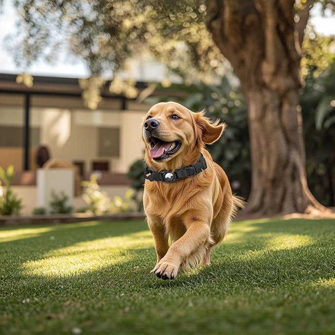 Tactical AirTag Dog Collar Leash Set - Heavy Duty, Adjustable GPS Collar Compatible with Apple AirTag, with Holder & Control Handle for Medium/Large Dogs [Black, XL]