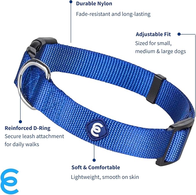 Blueberry Pet Essentials Small Dog Collar in Royal Blue | Adjustable & Eco-Friendly Durable Nylon Strap | Classic Collar for Small Dogs, Boy & Girl Pets