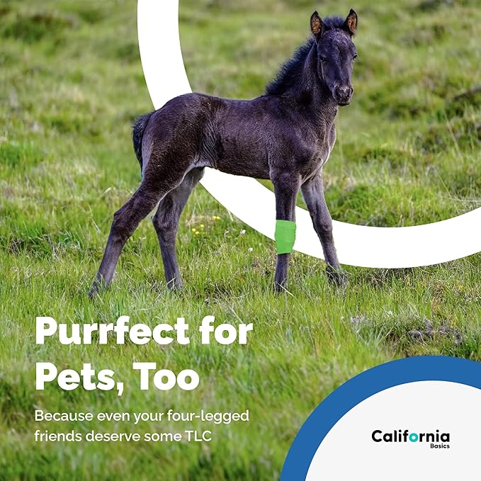 California Basics Self-Adhesive Medical Tape (2 inch) - Pack of 12 - Cohesive Bandage Wrap Rolls - Waterproof Athletic Tape - Self Adhesive Medical Adhesive Bandage Wrap - Vet Stretch Wrap