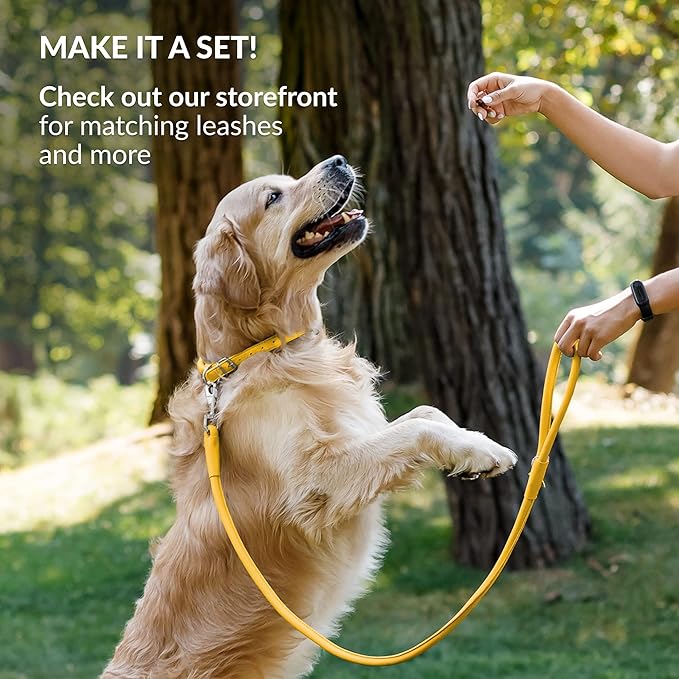 CollarDirect Rolled Leather Dog Collar, Soft Padded Round Puppy Collar, Handmade Genuine Leather Collar Dog Small Large Cat Collars 13 Colors (6 Inch, Yellow Smooth)