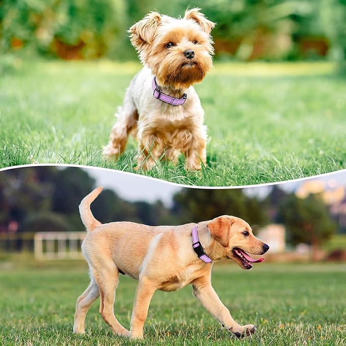 Reflective Dog Collar Padded with Soft Neoprene Breathable Quick Release Basic Dog Collars for Medium Large Dogs Lavender