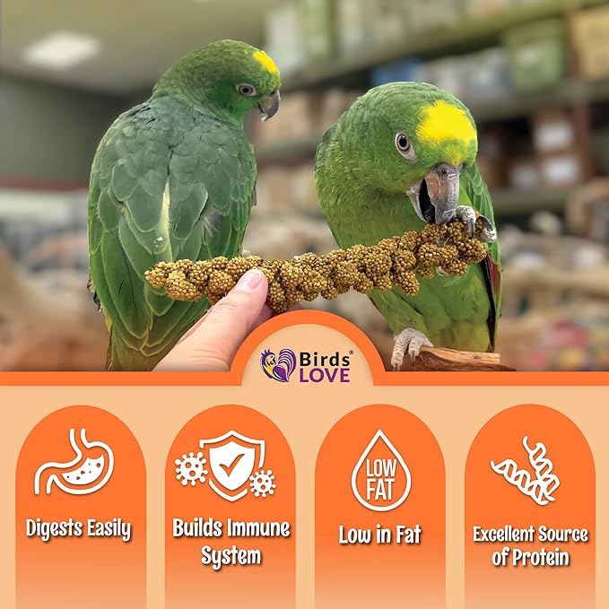 Birds LOVE Wholesome & Lovely Spray Millet Non-GMO for Birds Cockatiel Lovebird Parakeet Finch Canary All Parrots Healthy Treat - 2LBS