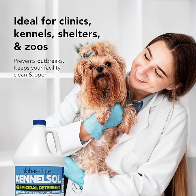 ATP KennelSol 1-Step Kennel Cleaner - 1 Gallon (Pack of 4) Liquid Disinfectant, Effective Against Bacteria and Viruses, Deodorizer Wintergreen Scent by Alpha Tech Pet