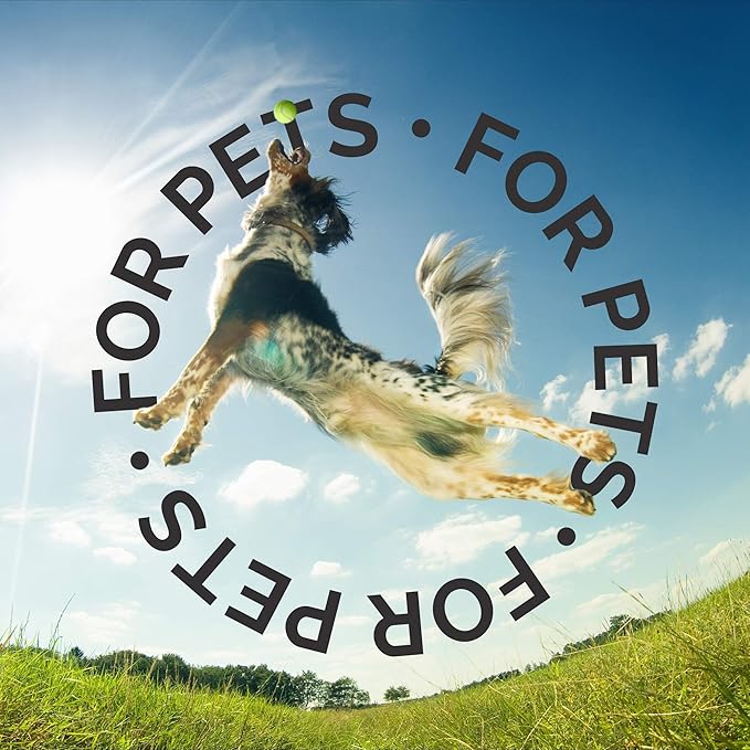 Bark2Basics Rock The Dog Oatmeal Dog Shampoo, 1 Gallon - Natural Colloidal Oatmeal, Natural, Calms Dry Itchy Irritated Skin, Moisturizes and Soothes The Skin and Coat, Professional Grade