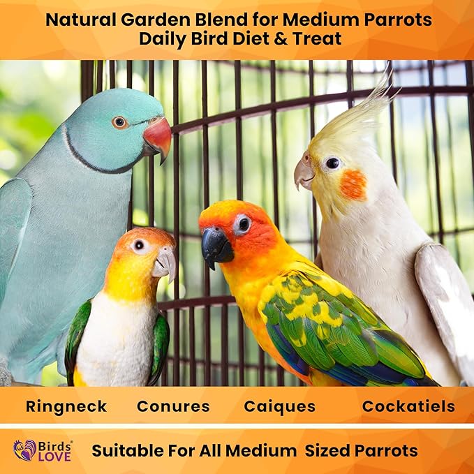 Birds LOVE All Natural Garden Blend Bird Food for Medium Birds - Cockatiels, Green Cheek Conures, Ringneck Parakeets and Small Quakers 4lb