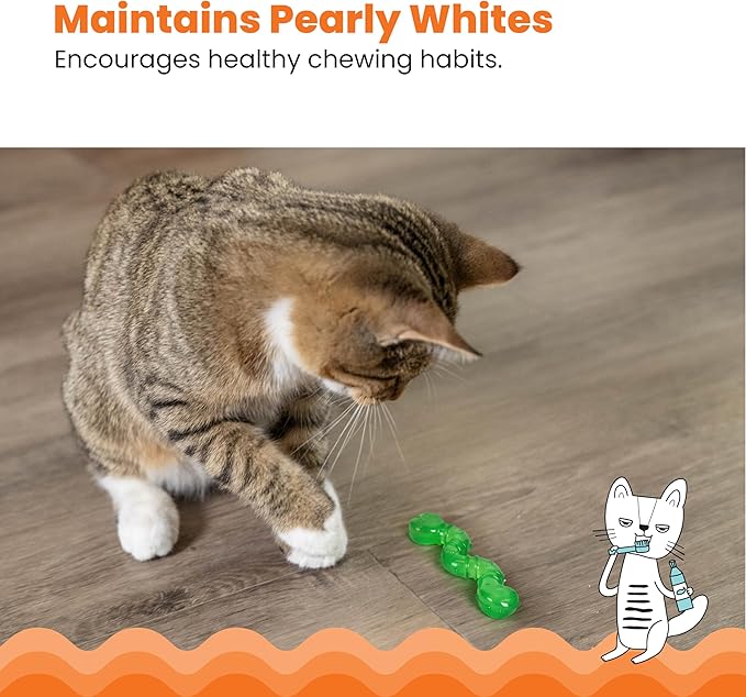 Catstages OrkaKat Wiggle Worm Cat Chew Toy – Catnip Dental Toy for Kittens and Cats, Orange Rubber with Ridges