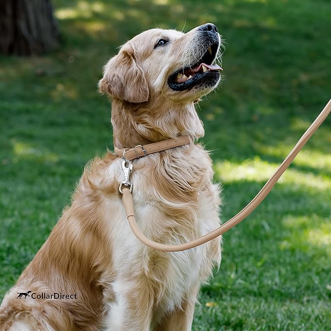 CollarDirect Rolled Leather Dog Collar, Soft Padded Round Puppy Collar, Handmade Genuine Leather Collar Dog Small Large Cat Collars 13 Colors (18-22 Inch, Beige Textured)
