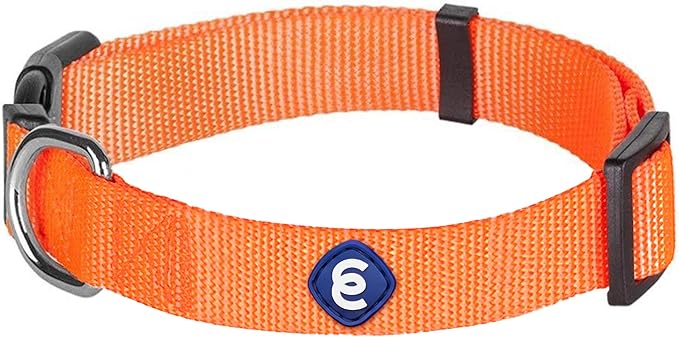 Blueberry Pet Essentials Florence Orange Adjustable Nylon Dog Collar for Large Dogs, Classic Solid Color Pet Safety & Style for Small Dogs