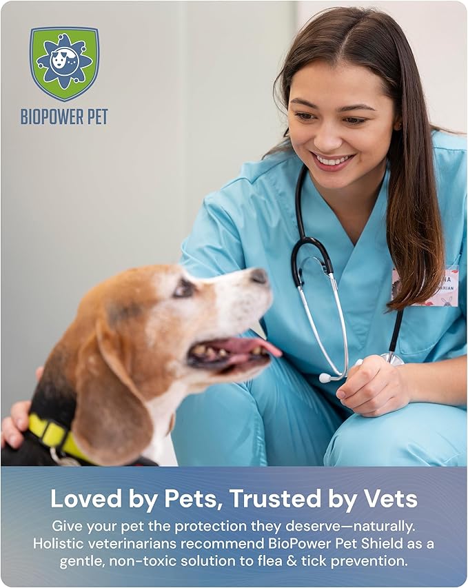 Natural Flea & Tick Repellent Collar Tag for Dogs & Cats – BioPower Pet Shield – Safe for Pets When Used as Directed – Lasts 1 Full Year - Small Tag (<10 Lbs)