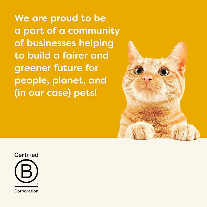 Applaws Natural Wet Kitten Food in Broth, Limited Ingredient Canned Wet Kitten Food, No Additives, Made with Natural Ingredients, Chicken Breast in Broth (6 x 2.47oz Cans)