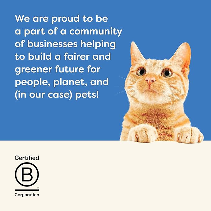 Applaws Natural Wet Kitten Food in Broth, Limited Ingredient Canned Wet Kitten Food, No Additives, Made with Natural Ingredients, Tuna Fillet in Broth (6 x 2.47oz Cans)