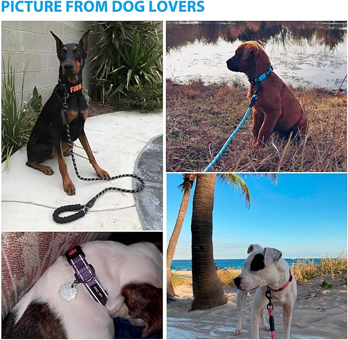 Heavy Duty Dog Leash - Comfortable Padded Handle, 5 ft Long - Dog Leashes for Small Medium Large Dogs (Leash+Collar XS Neck 10.5"-13.5", Red)