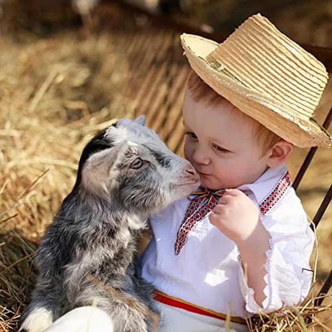 Blue Mountain Hay | Fresh Organic Meadow Hay (15 Ounce) | Mimics Natural Forage | High-Altitude Hay Pet Food for Rabbits, Guinea Pigs, Chinchillas, Hamsters, and Other Small Pets