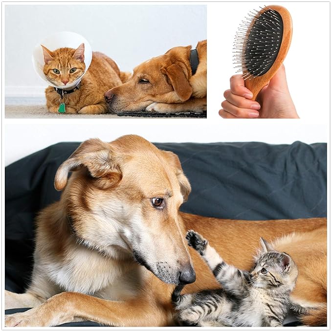 ClumsyPets Dog & Cat Ball Pin Slicker Grooming Brush with Bamboo Handle for Pets Massage Bath and Removes Mats Loose Fur Hairs